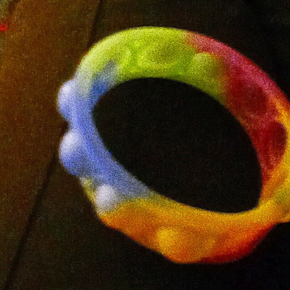 Pop bracelet